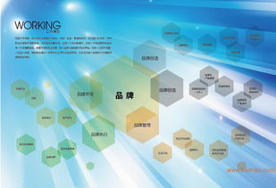 沈陽(yáng)品牌設(shè)計(jì)策劃全鏈條服務(wù) 從VI、畫冊(cè)到店面裝修與互聯(lián)網(wǎng)營(yíng)銷的整合方案